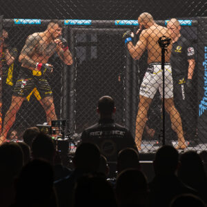 MMA-Regelkunde-Kurs