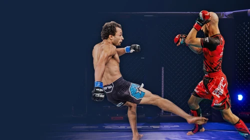 MMA UNFOLDED Basics: MMA Profi oder Amateur - Was sind die Unterschiede?