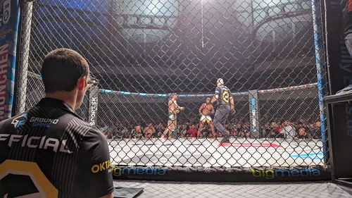 MMA UNFOLDED im Interview bei NTV